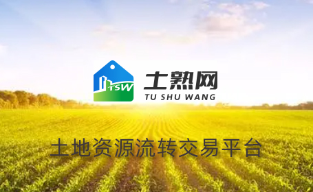 愛品特助力土熟網網絡營銷推廣，共繪鄉村振興新篇章